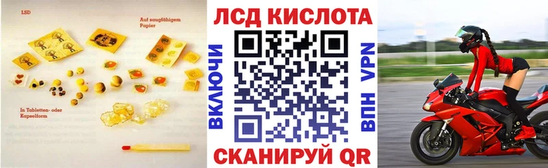 купить закладку  Ленинградская  Лсд 25 экстази кислота 